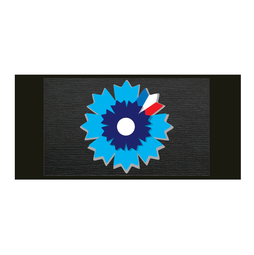 Remembrance Day Armband - Bleuet de France